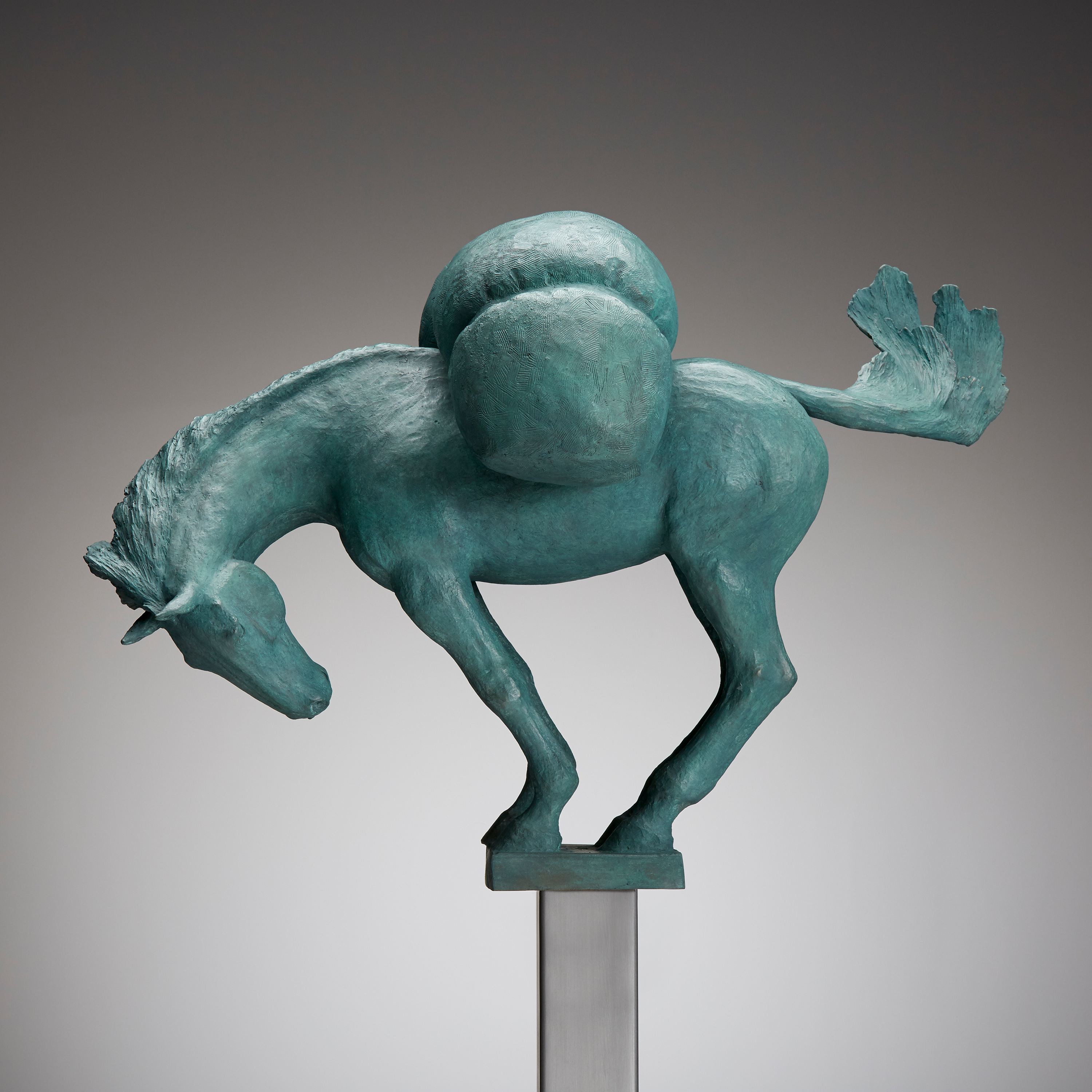 Equus Altus I