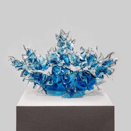 Splash - VEFA Gallery