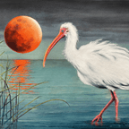 Blood Moon Rising - VEFA Gallery