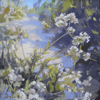 Buckwheat Greeting - VEFA Gallery