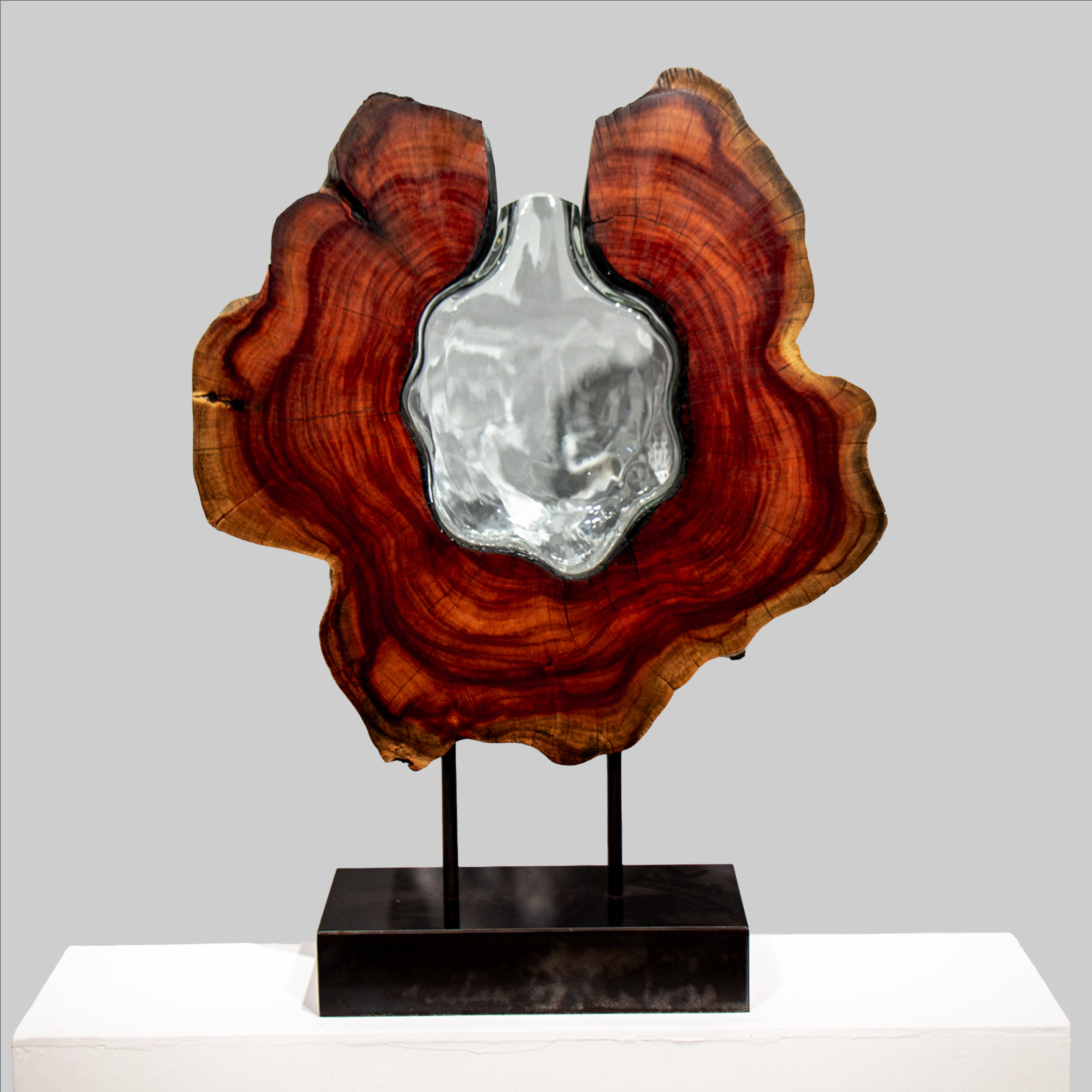 Carob Flower with Clear Glass