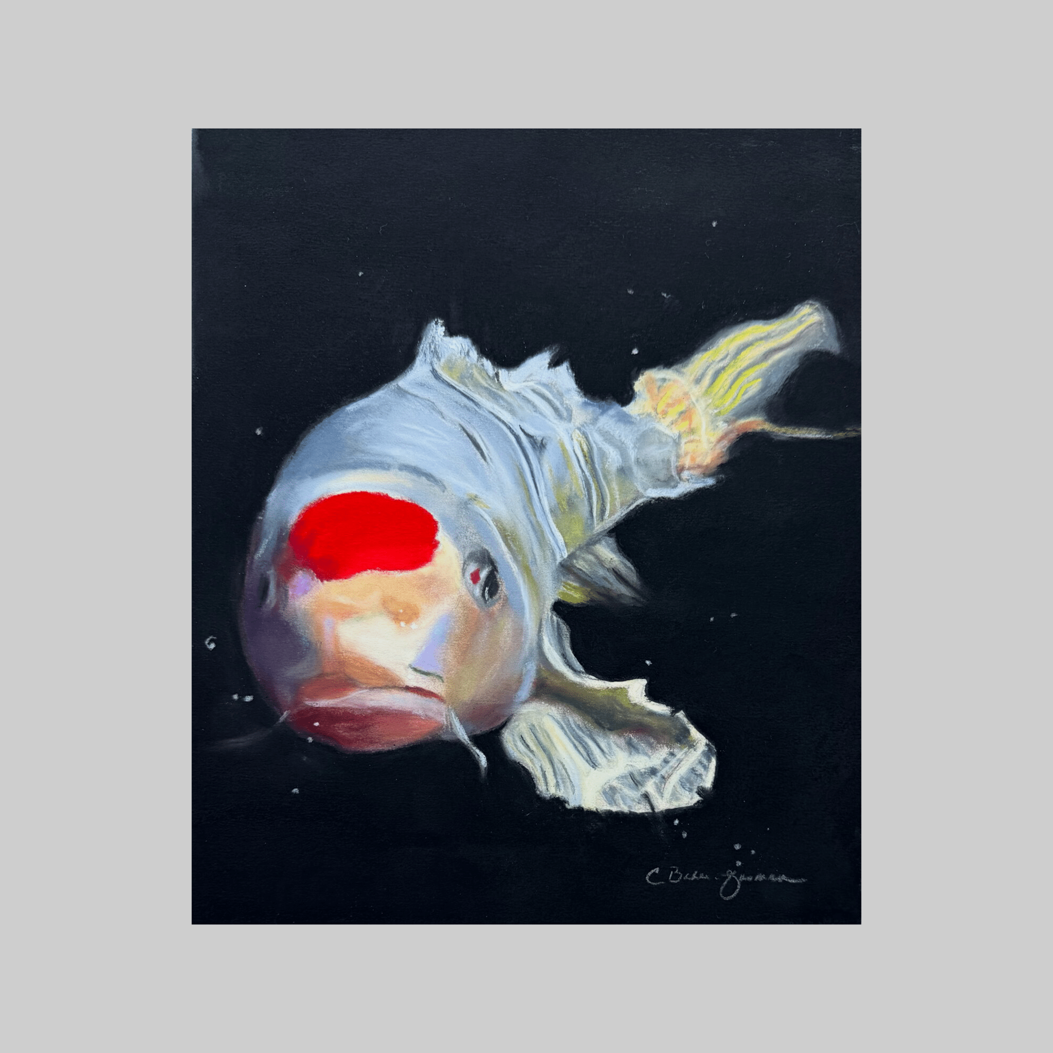 Juanita - VEFA Gallery