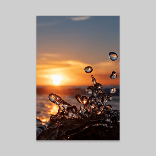 Sun Spray - VEFA Gallery