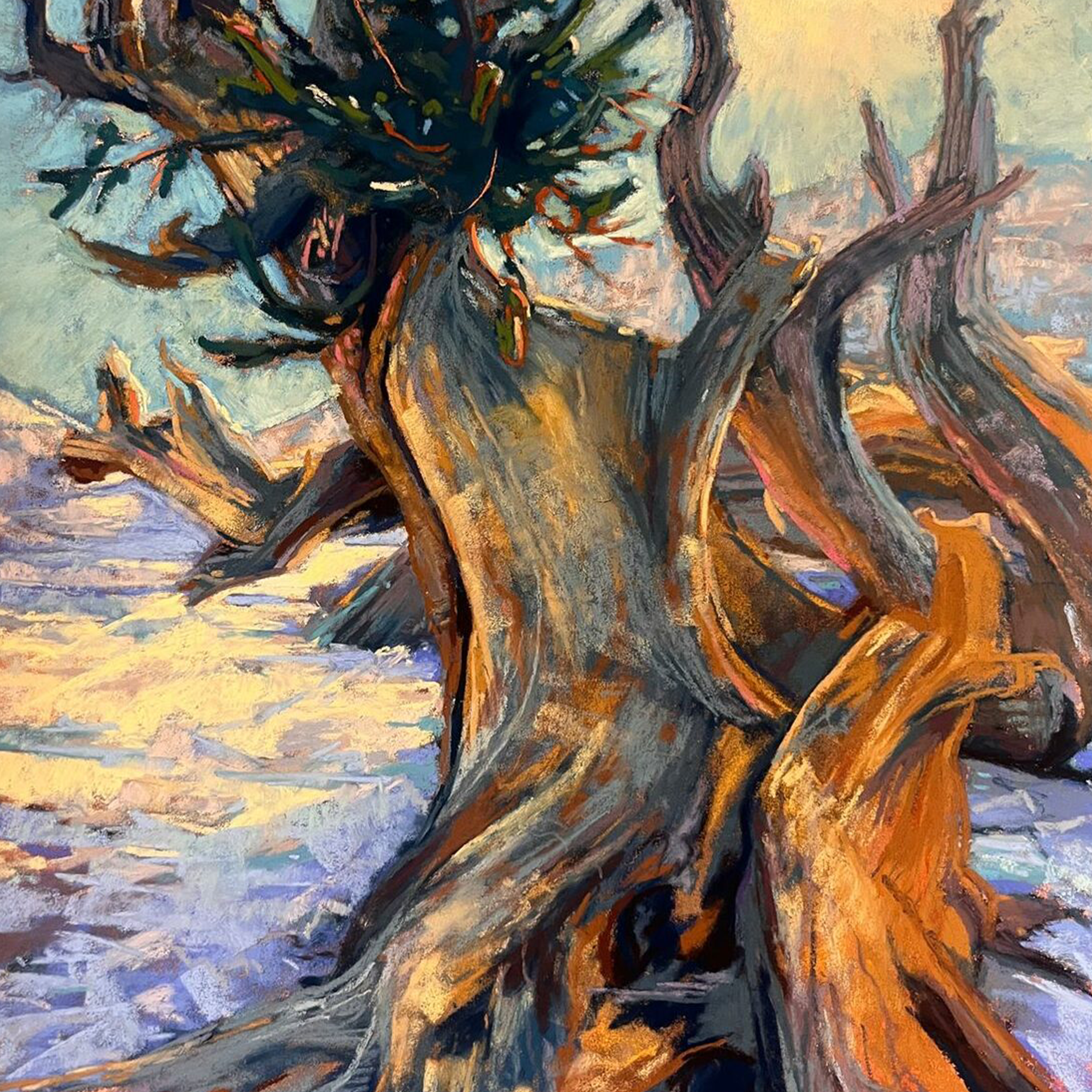 Imposing Bristlecone Pine