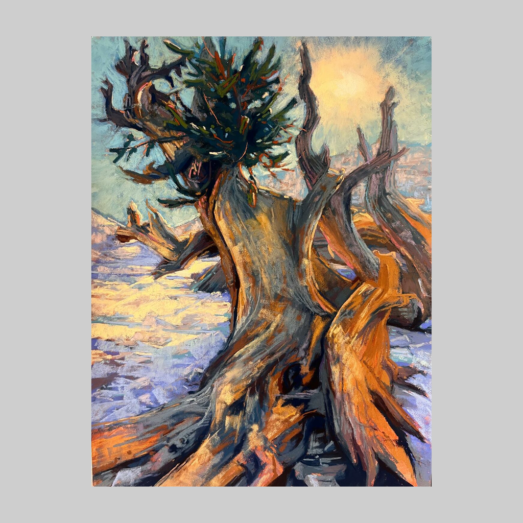 Imposing Bristlecone Pine