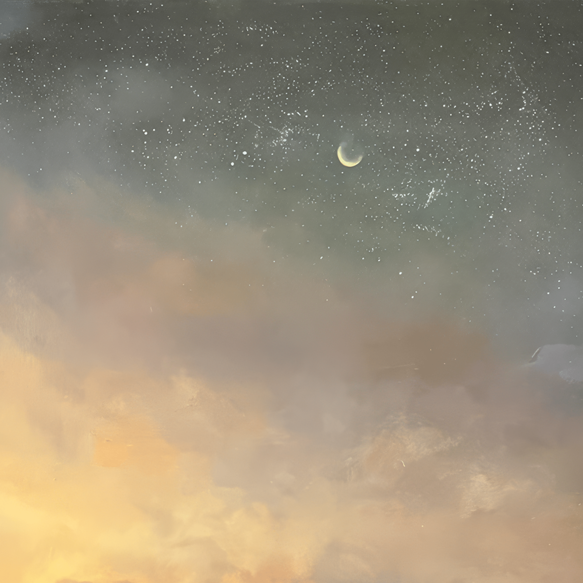 Rapture - VEFA Gallery