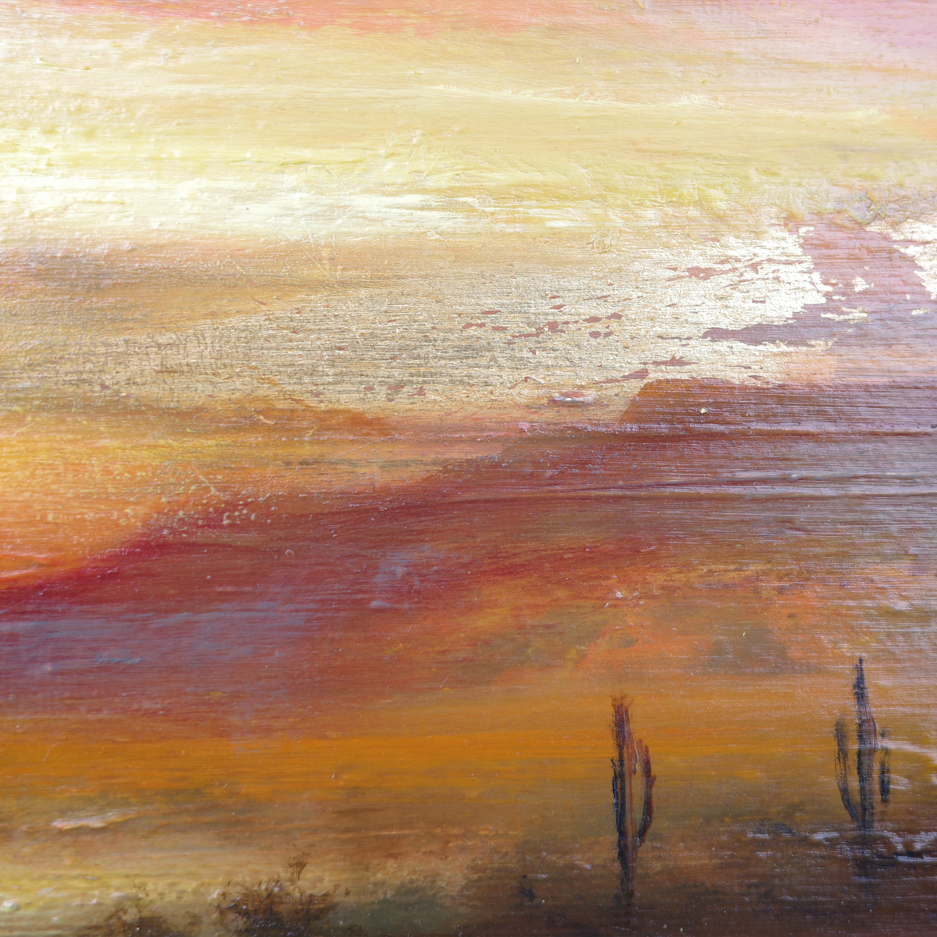 Sonoran Dream