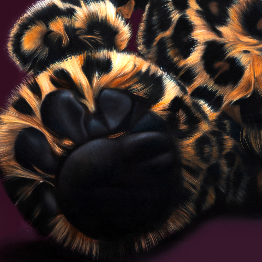Wild Comfort