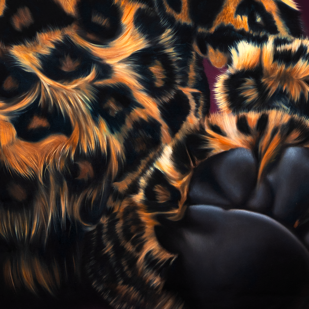Wild Comfort