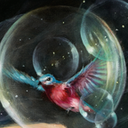 Through the Heart of Grace