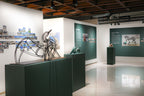 R0004367.jpg
