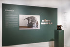 R0004385.jpg