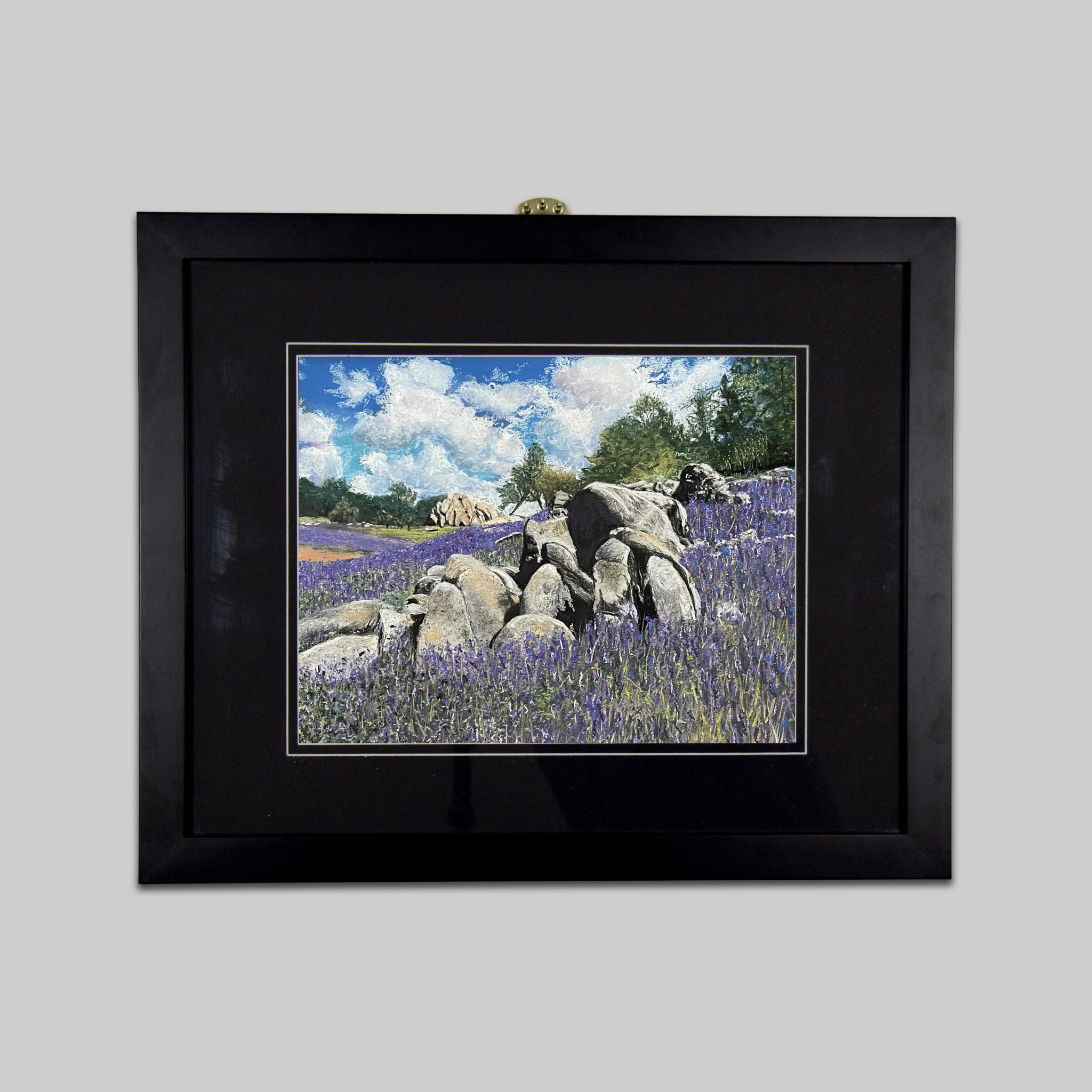 Super Bloom Lupines, Granite Bay, CA - VEFA Gallery