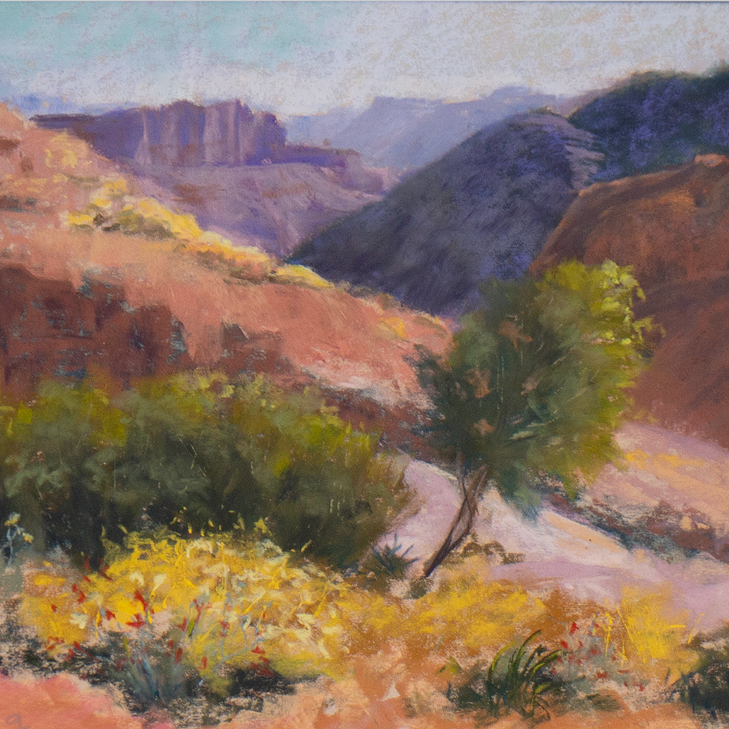 Grand Canyon in Bloom