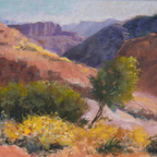 Grand Canyon in Bloom