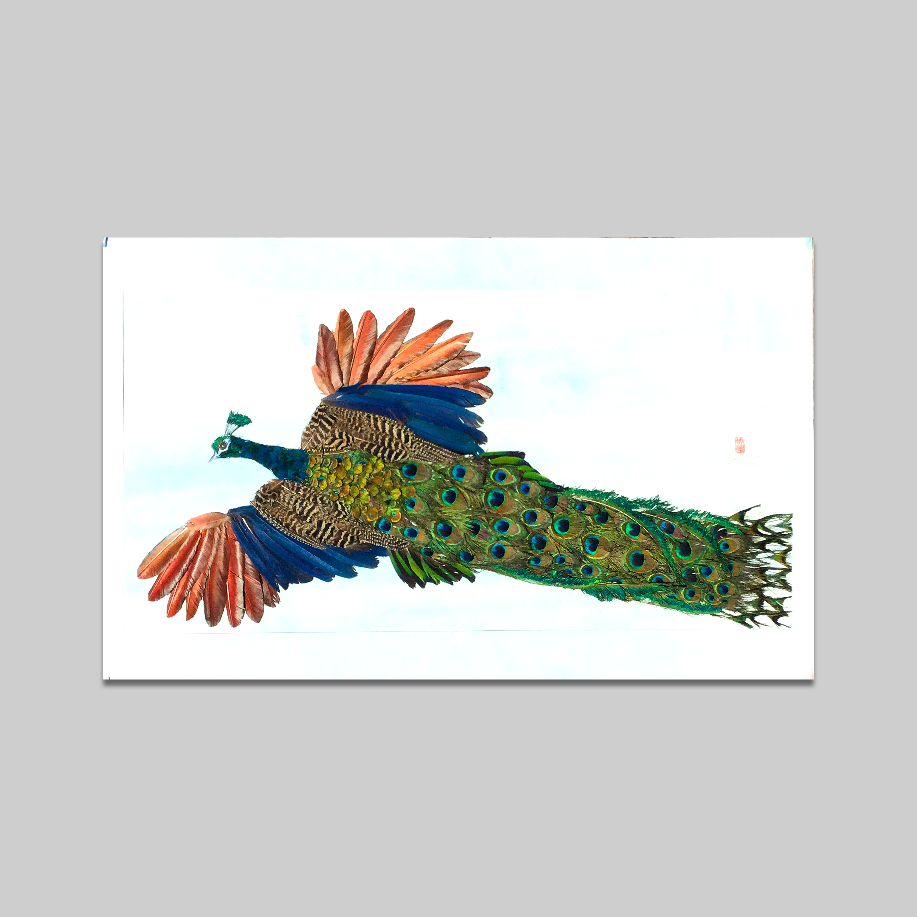 Spread Wing