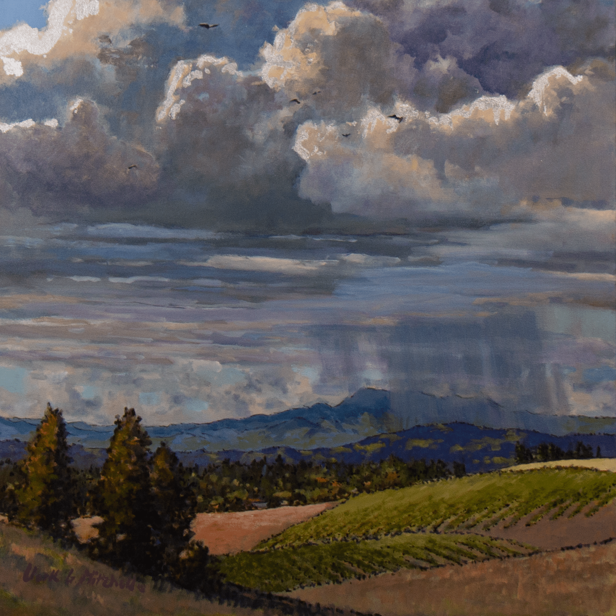 Updraft - VEFA Gallery