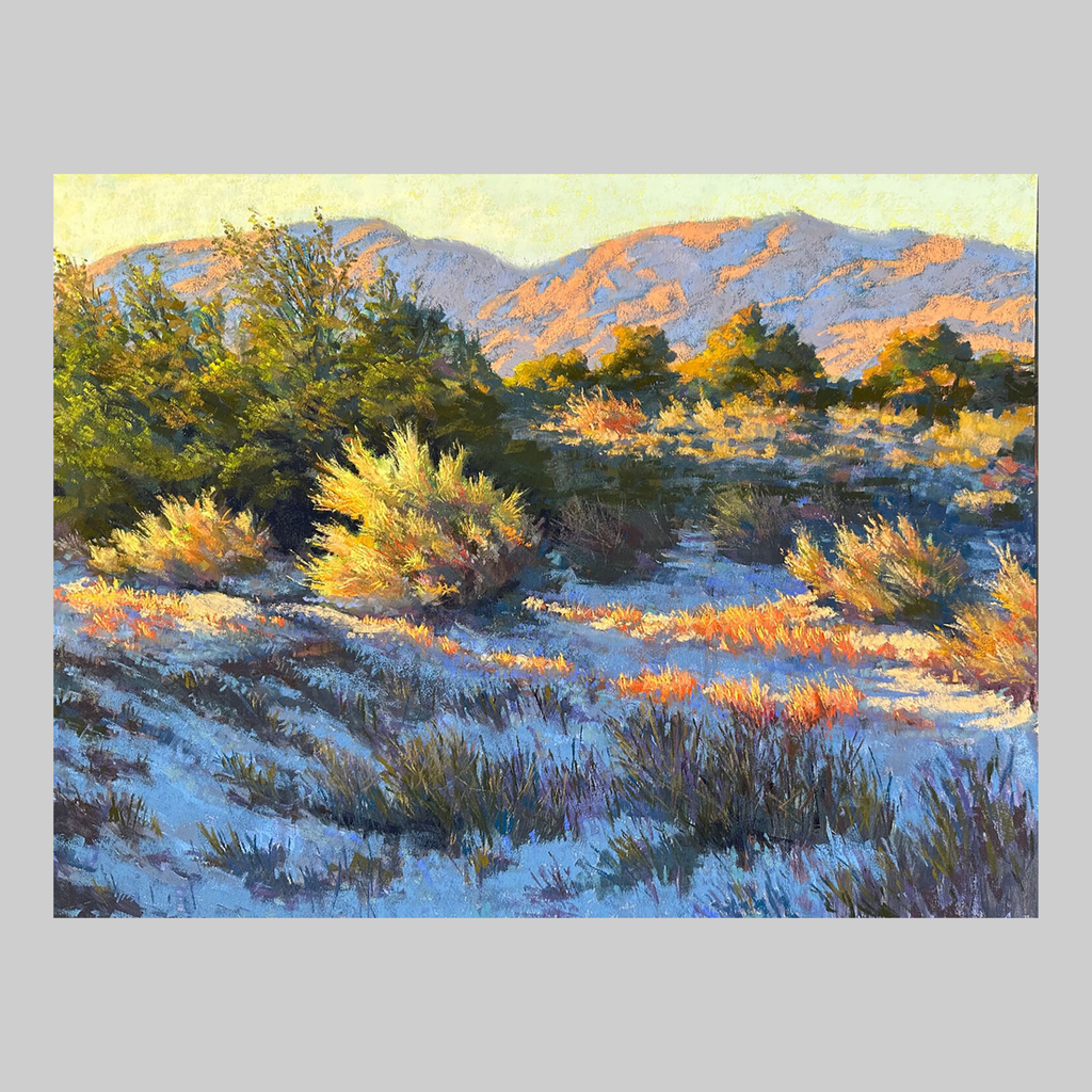 La Quinta Desert Morning - VEFA Gallery