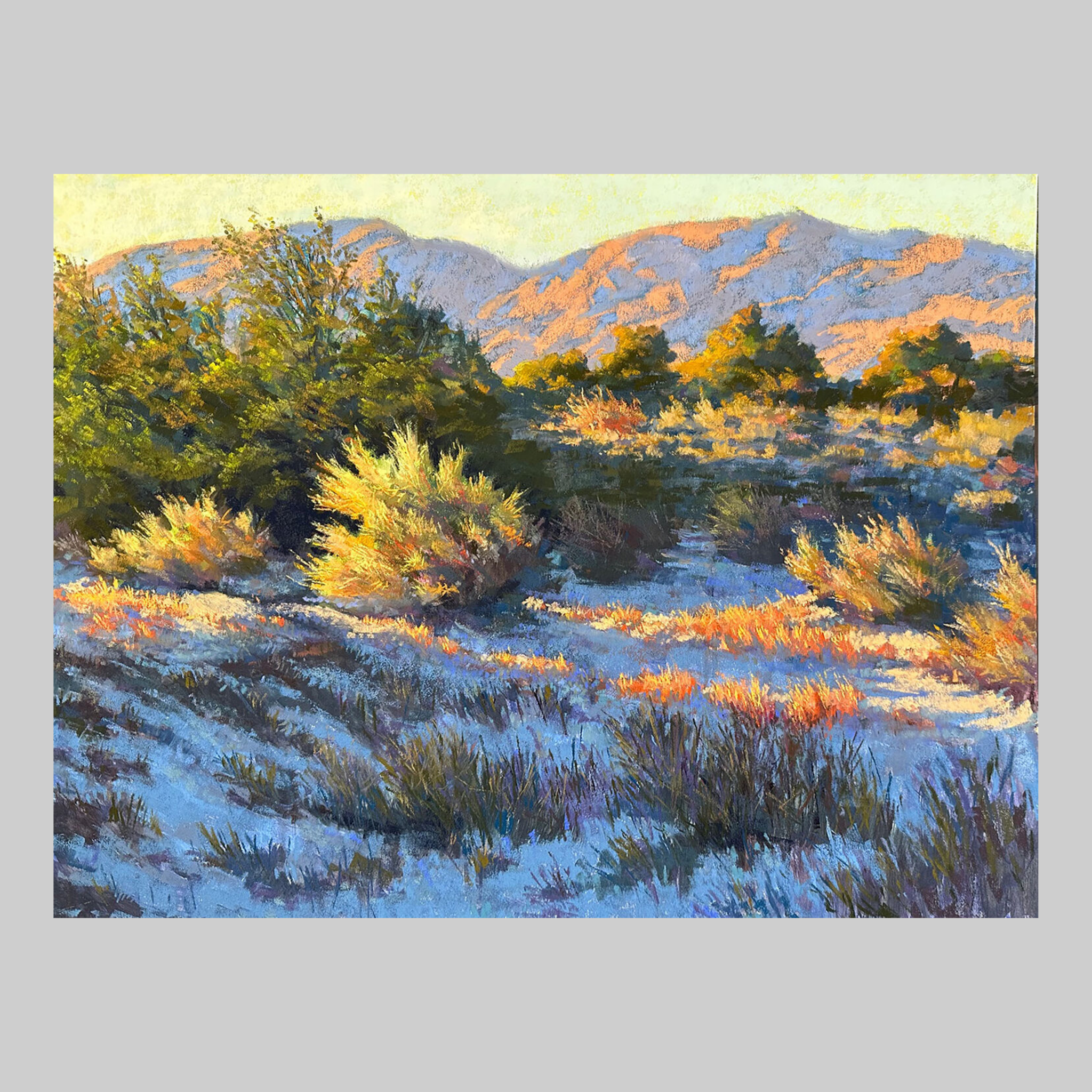 La Quinta Desert Morning - VEFA Gallery