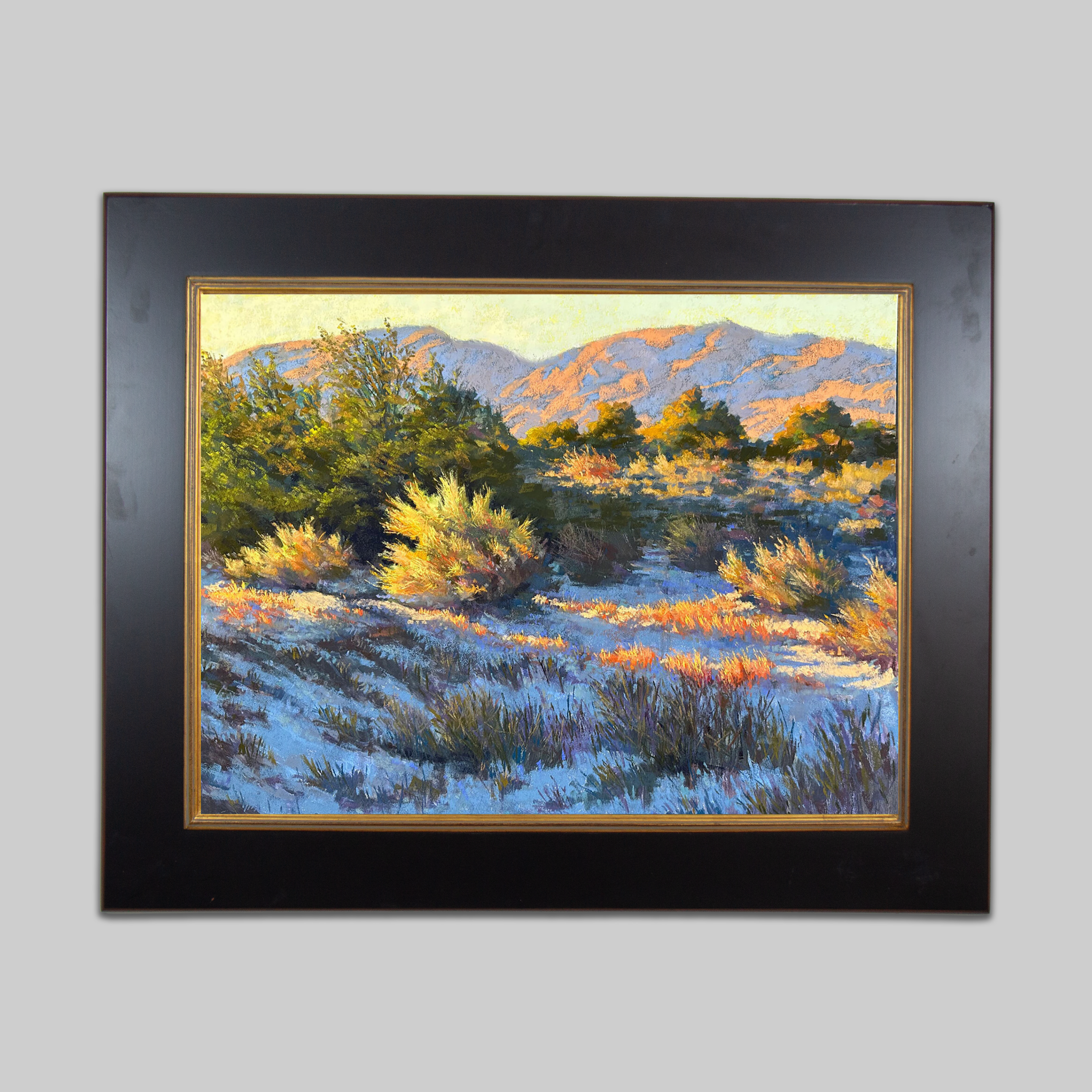 La Quinta Desert Morning - VEFA Gallery