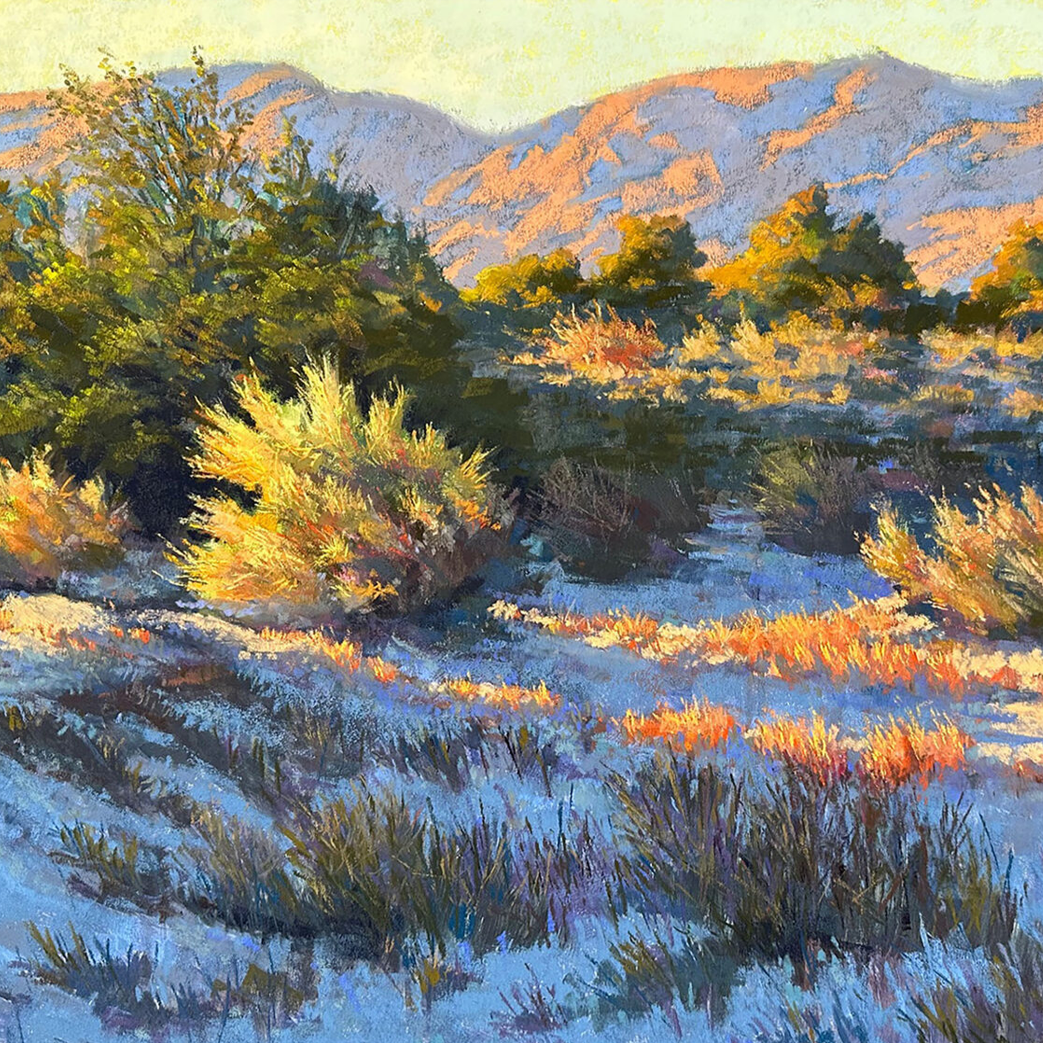 La Quinta Desert Morning - VEFA Gallery