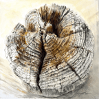 Cracks in my Heart - VEFA Gallery
