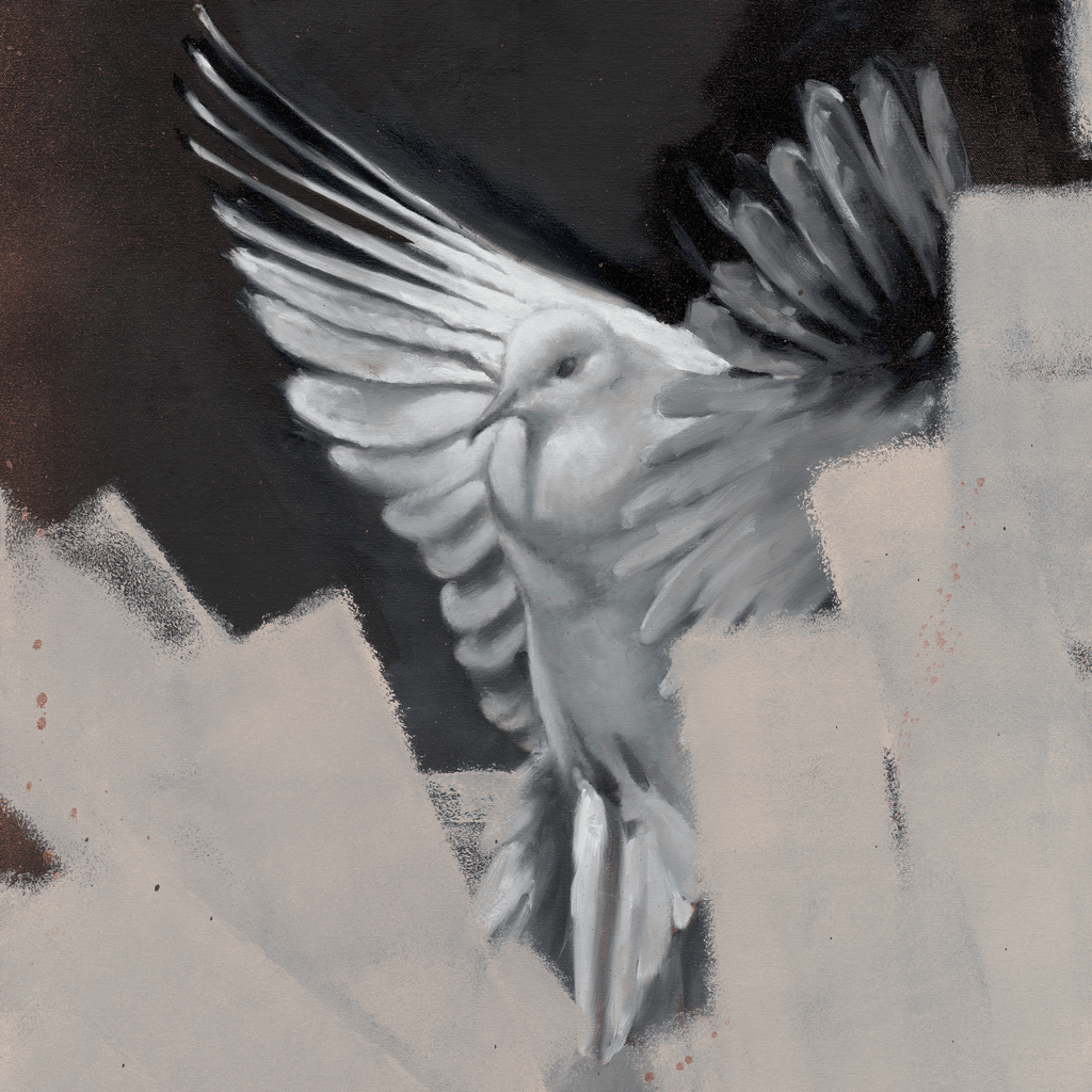 Dove - VEFA Gallery
