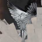 Dove - VEFA Gallery