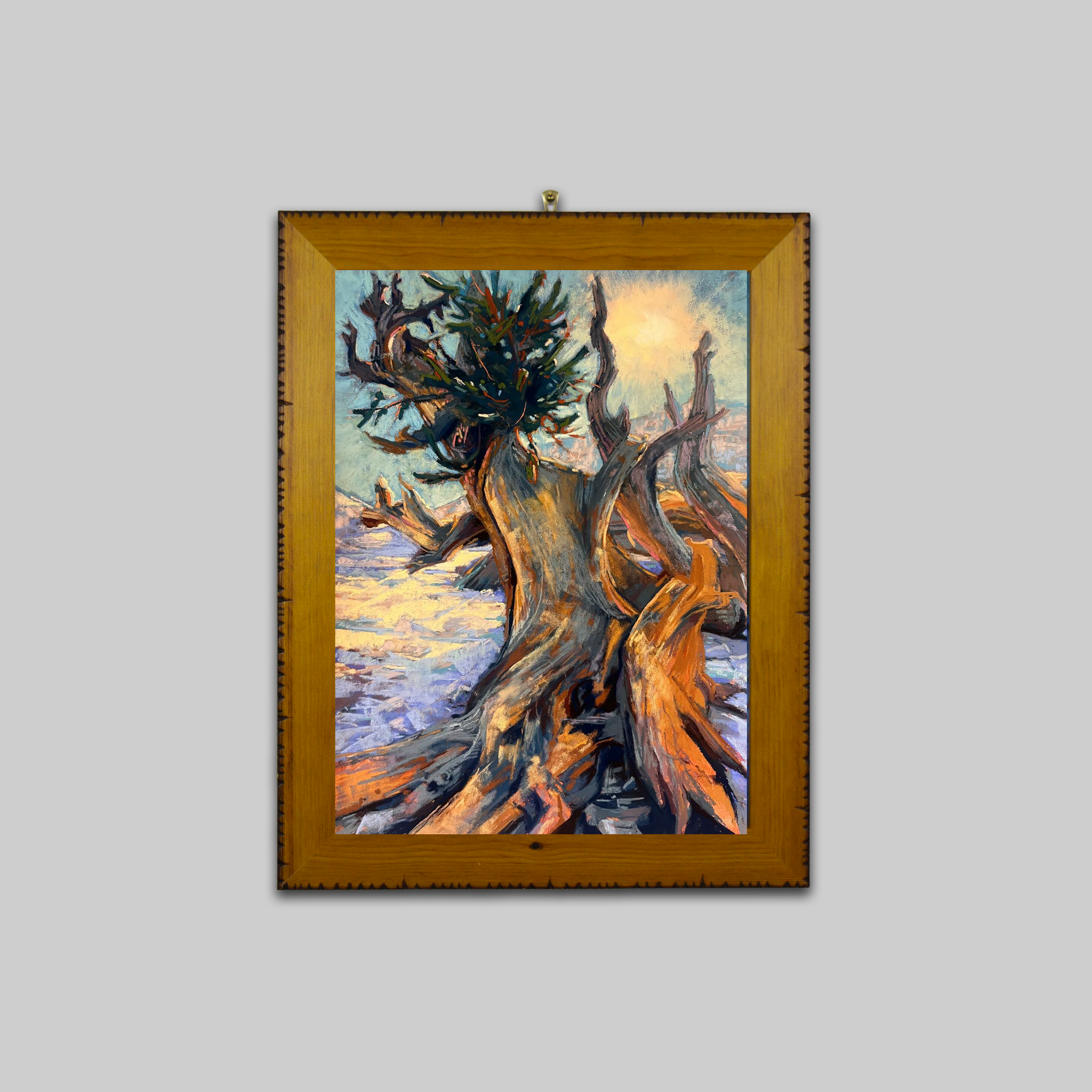 Imposing Bristlecone Pine