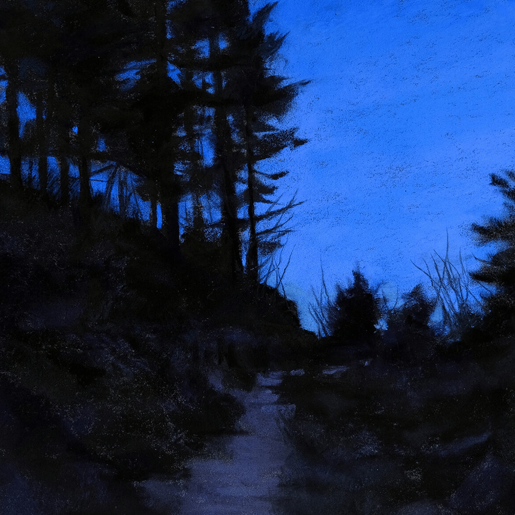 Evening Path - VEFA Gallery