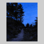 Evening Path - VEFA Gallery