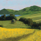 Fields of Gold