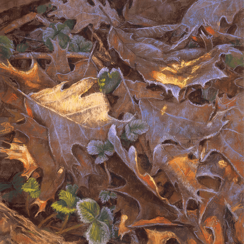 Frosty Gathering - VEFA Gallery