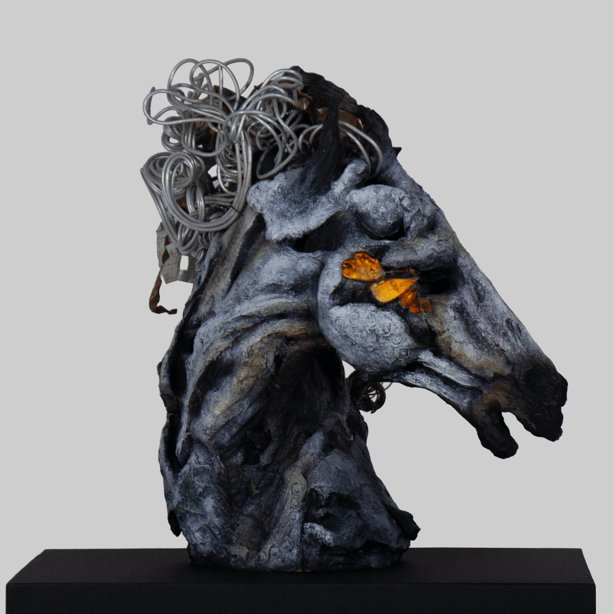 Wild is My Heart - VEFA Gallery