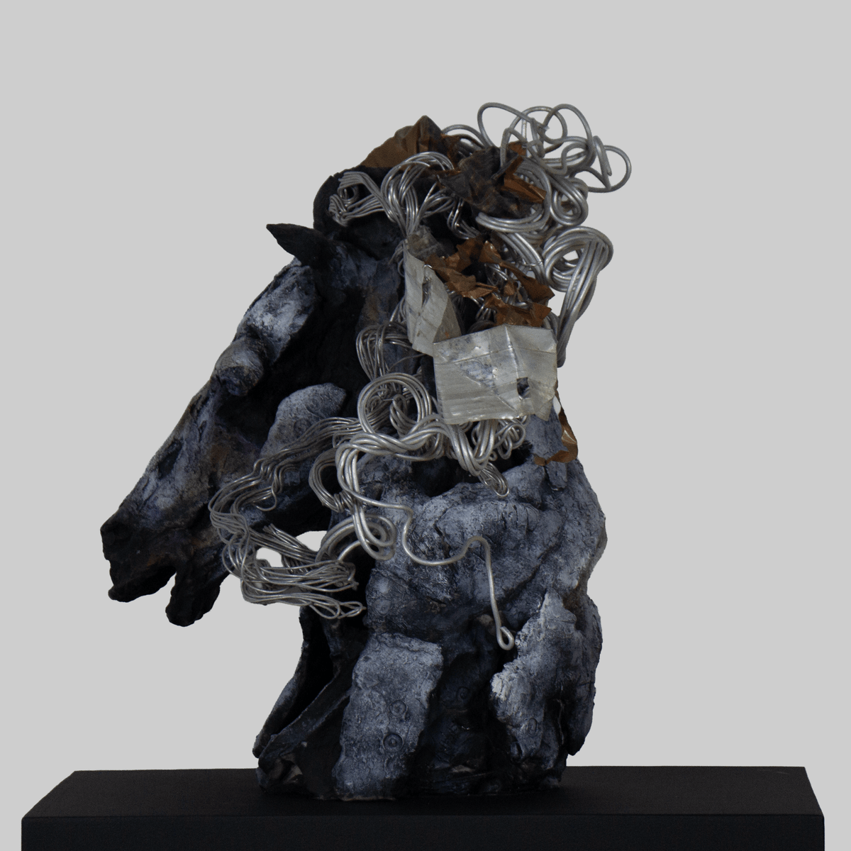 Wild is My Heart - VEFA Gallery