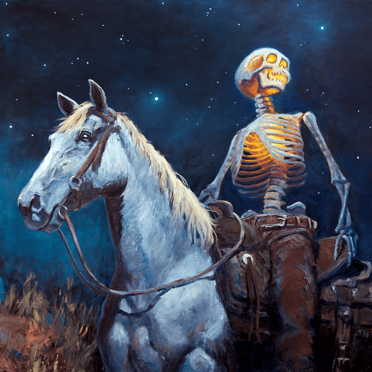 Sonoran Stargazer - VEFA Gallery