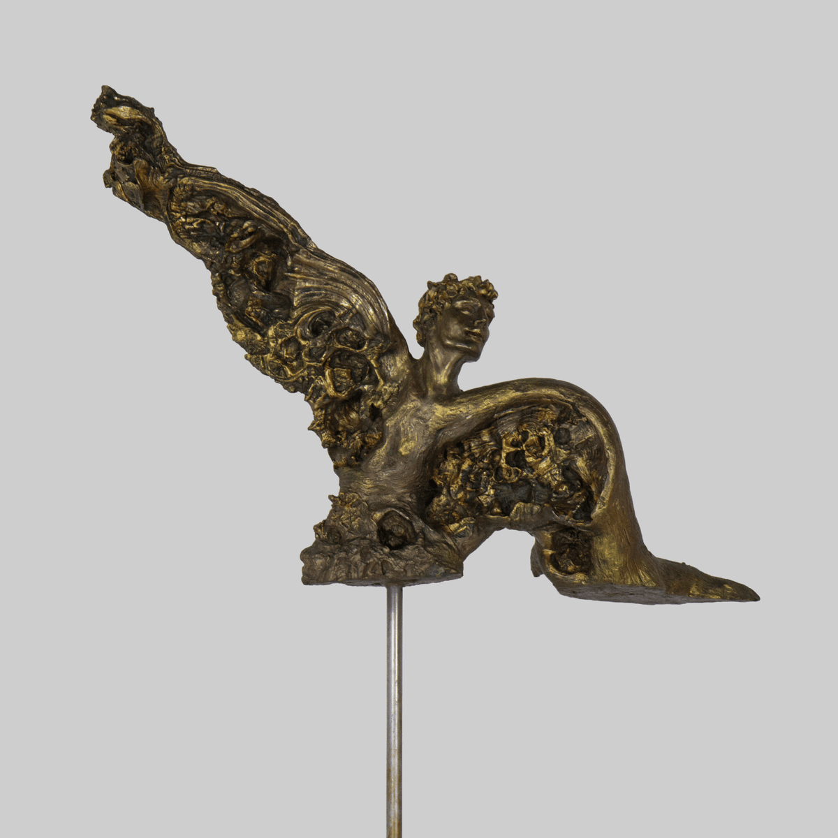 Icarus - VEFA Gallery