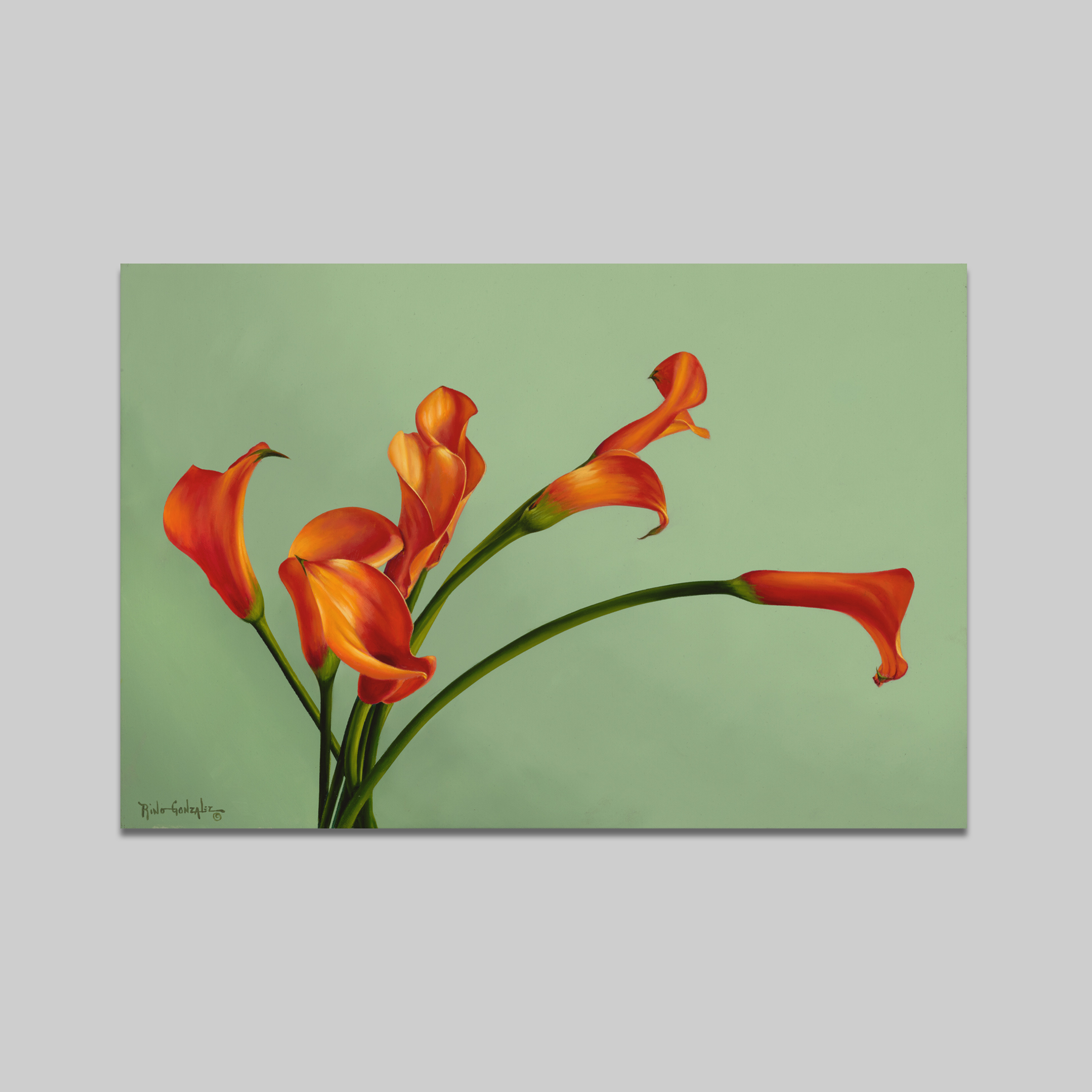 Inselflora