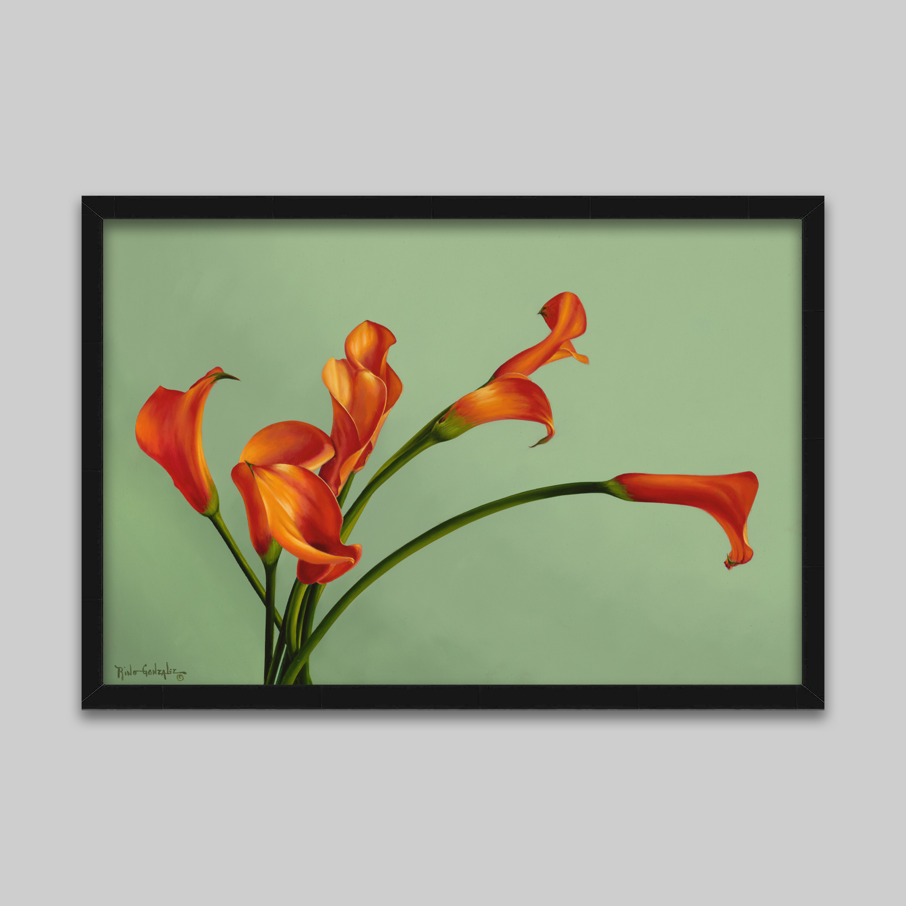 Inselflora