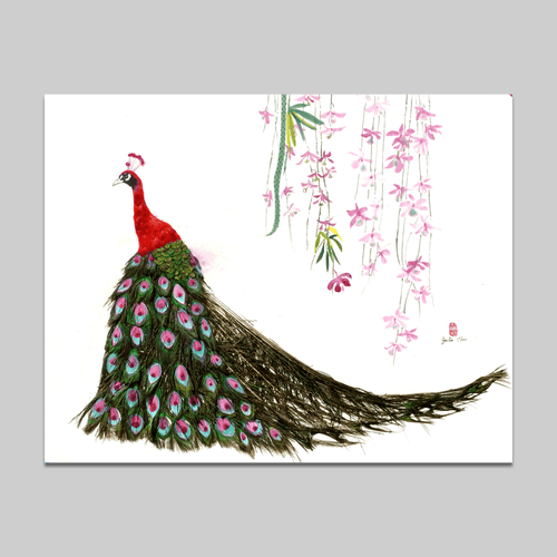 Red Peacock - VEFA Gallery