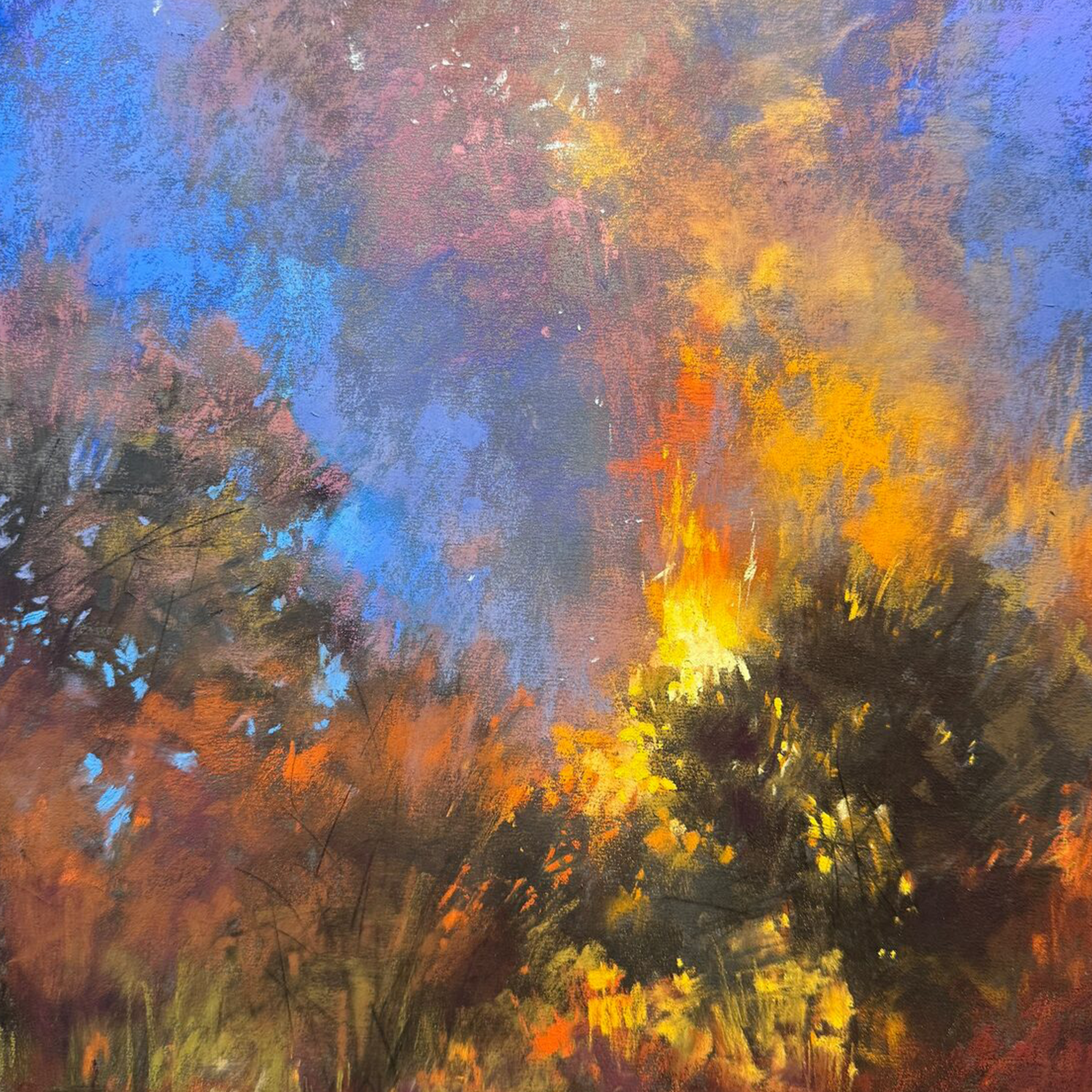 Lightning Strike - VEFA Gallery