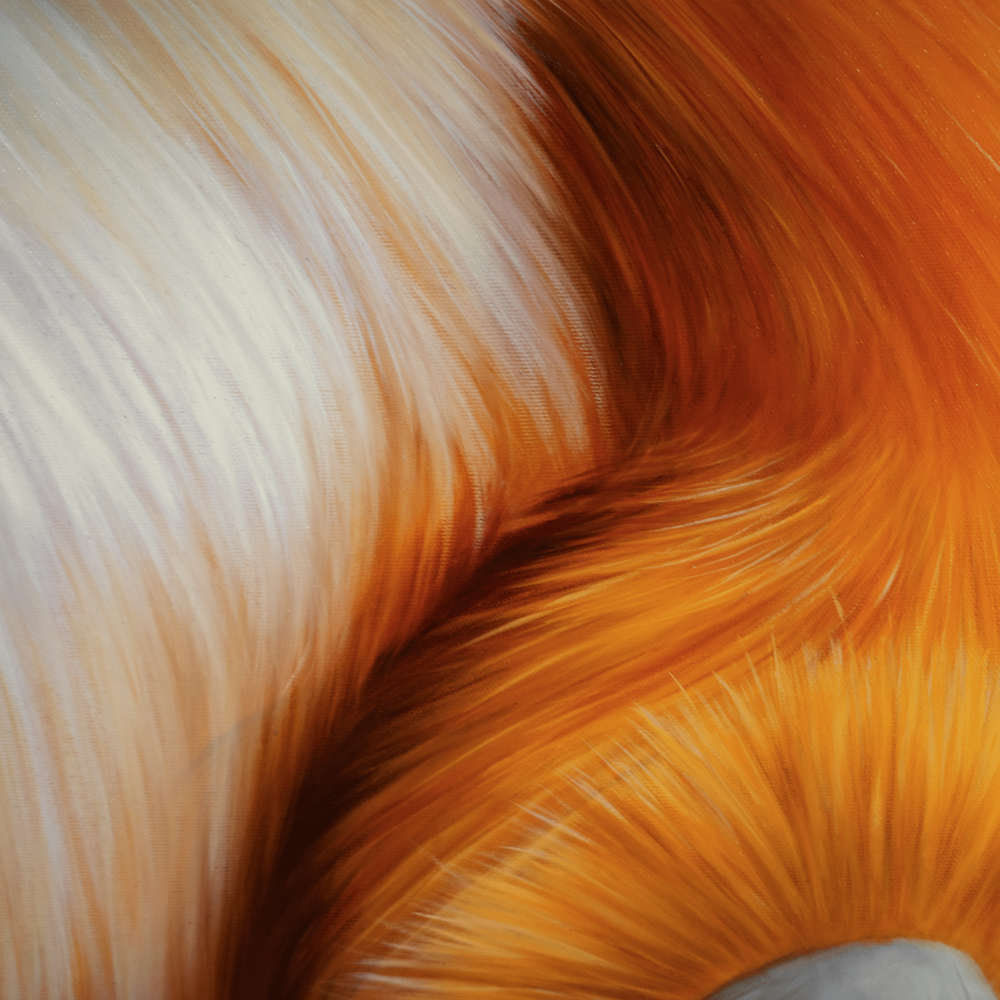 Golden Illusions - VEFA Gallery