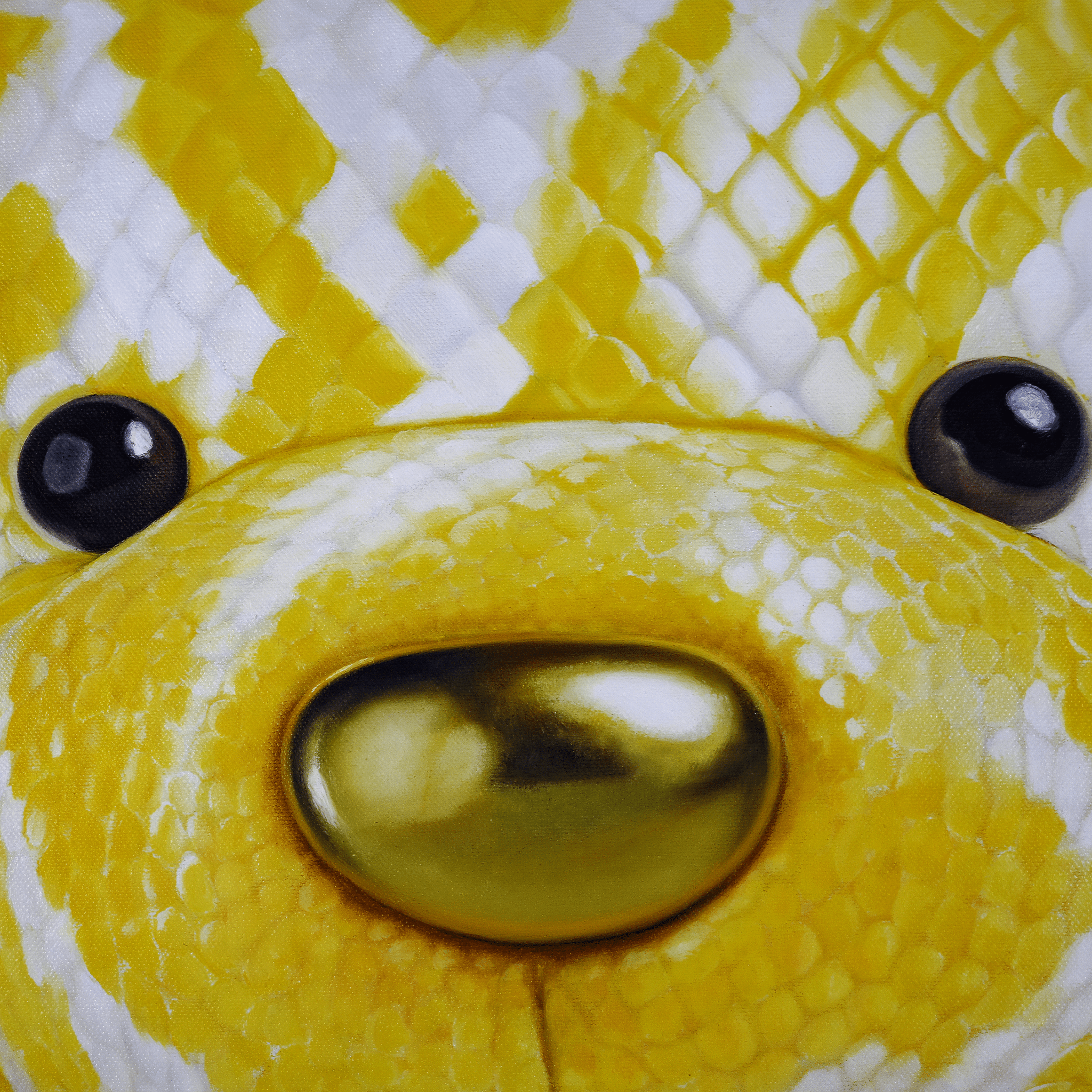 Under Glass - VEFA Gallery