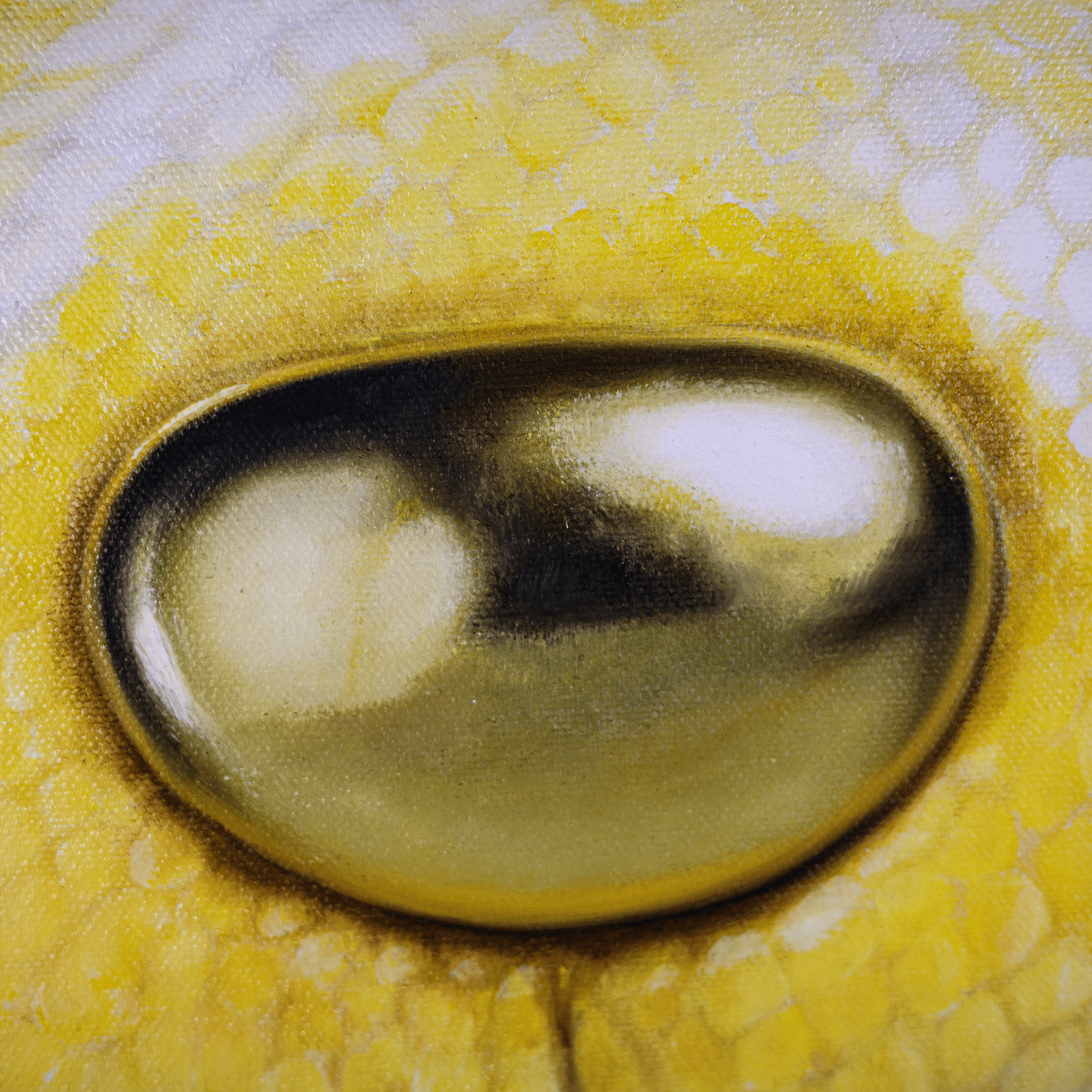 Under Glass - VEFA Gallery
