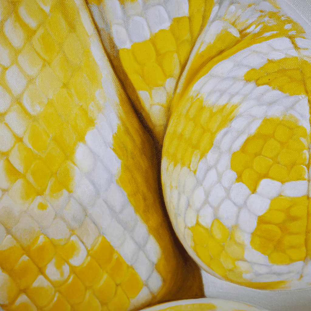 Under Glass - VEFA Gallery