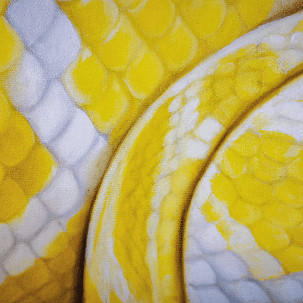 Under Glass - VEFA Gallery