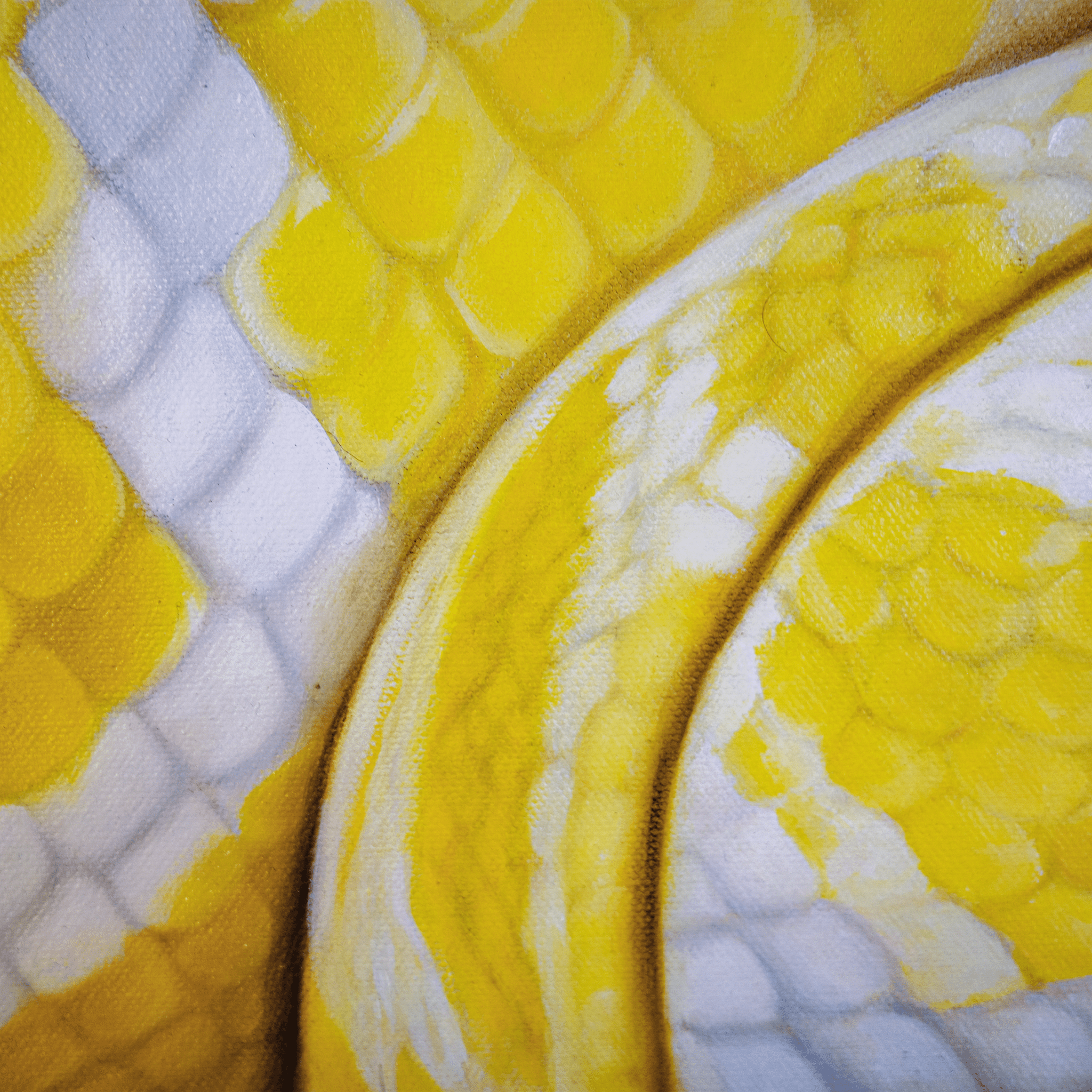 Under Glass - VEFA Gallery