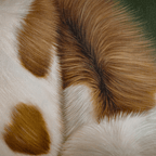 Sweet Deception - VEFA Gallery