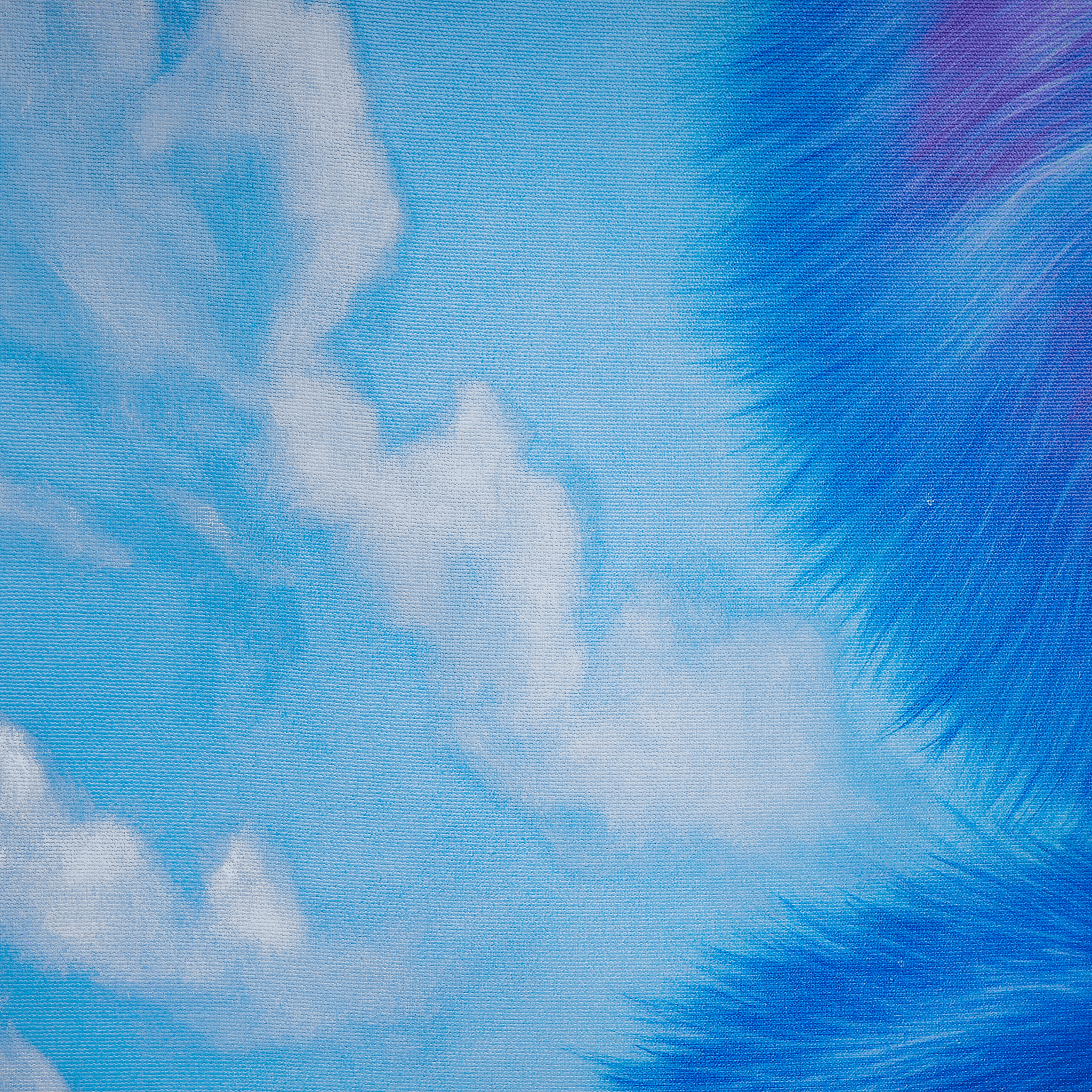 Tethered to the Sky Print - VEFA Gallery
