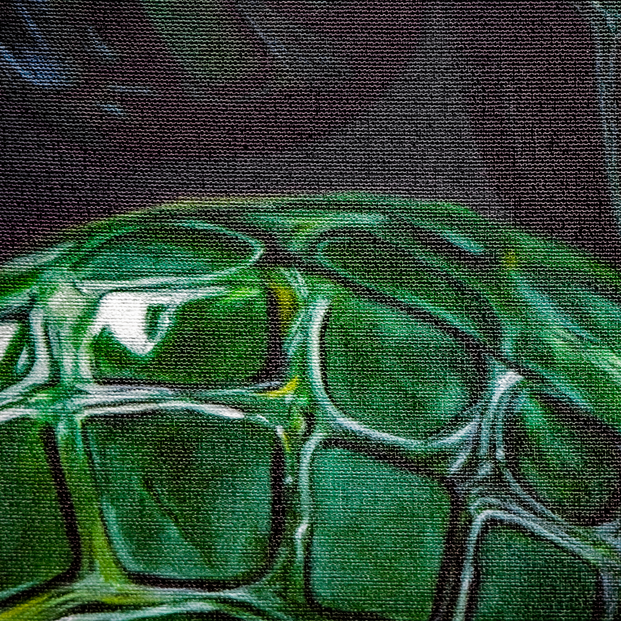 Thick Skin Print - VEFA Gallery